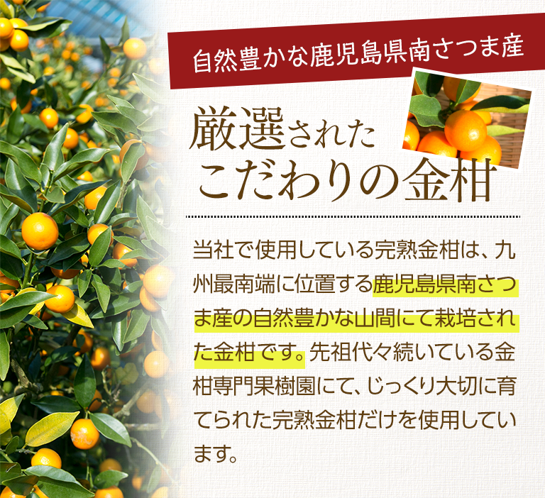 厳選されたこだわりの金柑